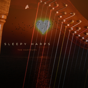 中文版Pornhub进入
