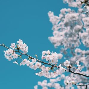 中文版Pornhub进入
